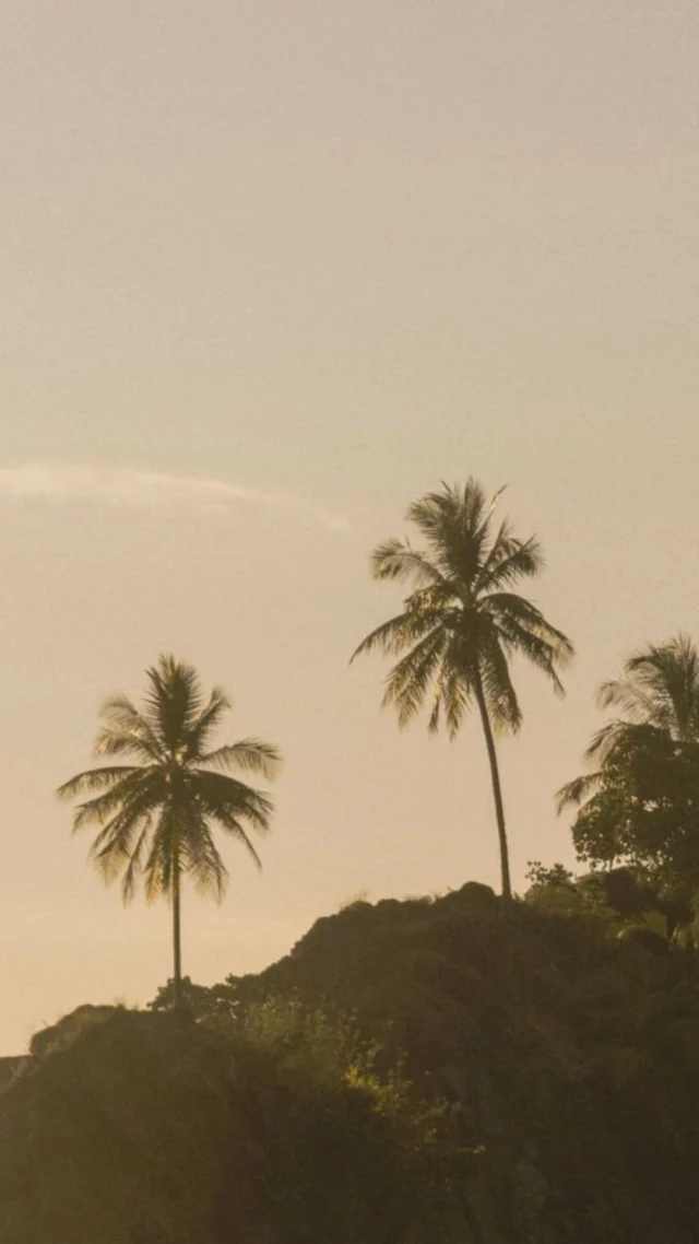 ❊¿Sientes que vivir con propósito no es para ti?
 “Yo también pensaba que tener un propósito no era para mí, que era algo lejano. Pero el propósito no es un destino, es un faro que todas llevamos dentro, aunque a veces se cubra con miedos e inseguridades.

Tú también puedes sentirte realizada profesionalmente.
Mándame la palabra “faro” y te cuento más.